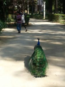 alcazar