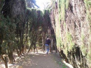 Andalusia Spain
