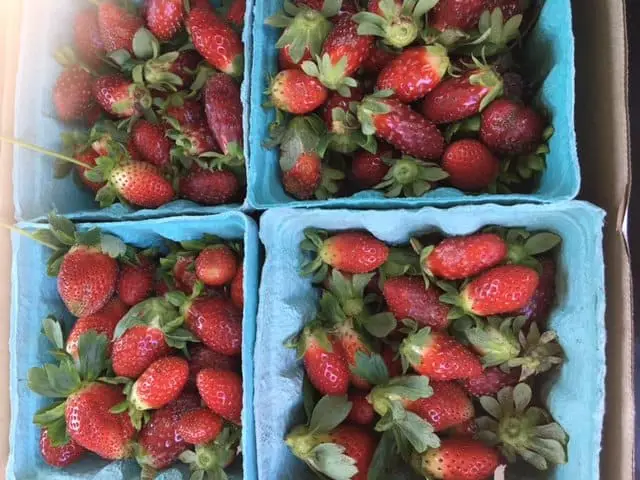Strawberries!!