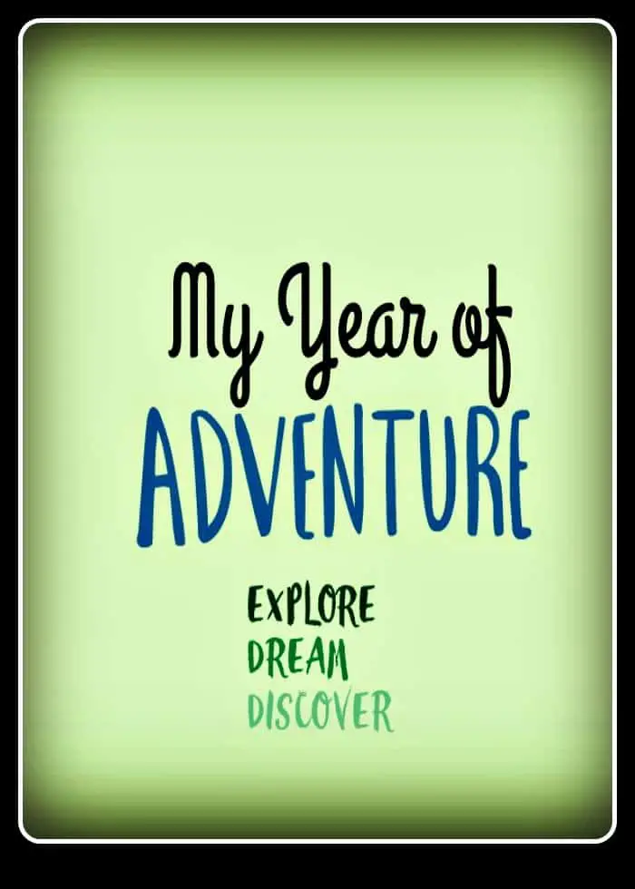 My Year of Adventure