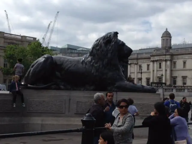 Lions in Trafalgar Square