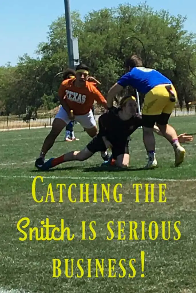 Catch the Snitch