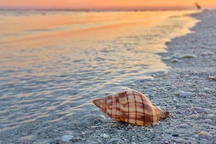 Sanibel beaches