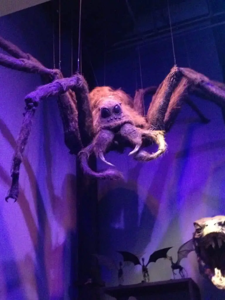 Aragog in the creature department on the Warner Bros Making of Harry Potter Studio Tour