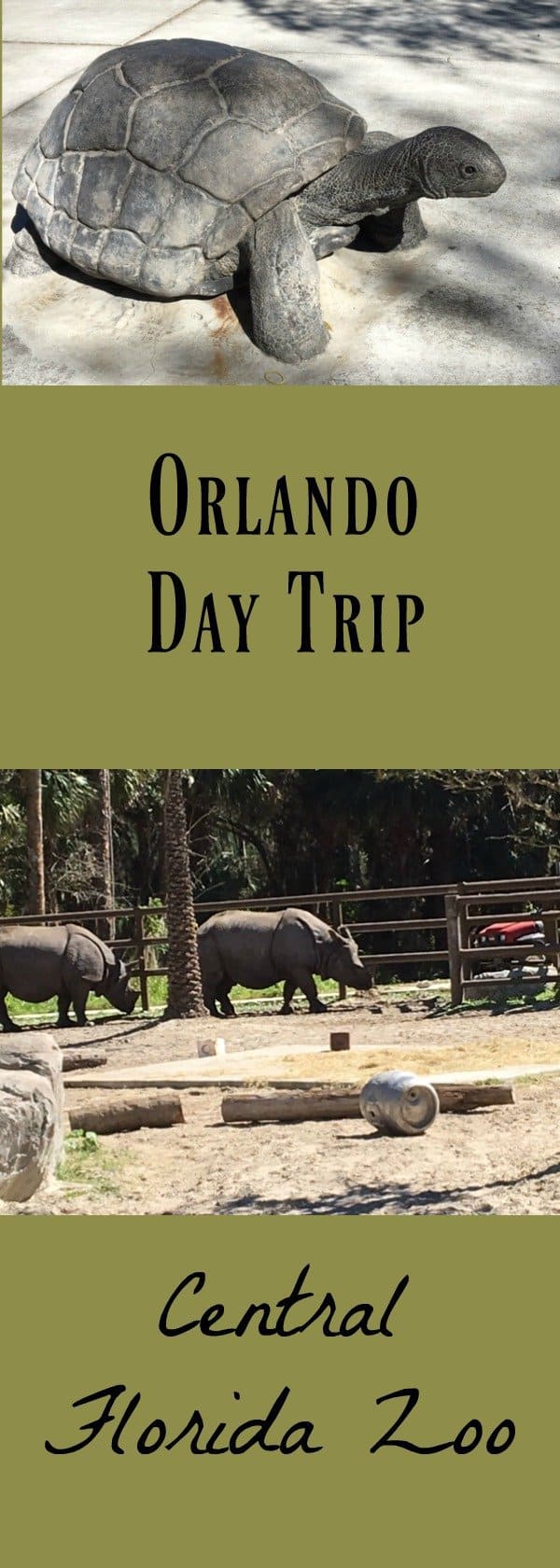 Orlando Day Trip