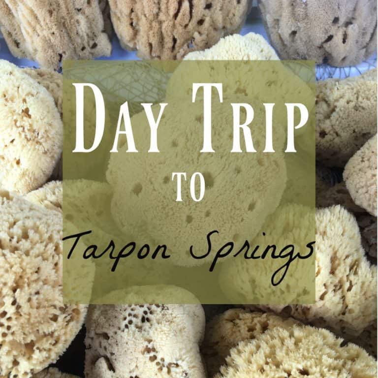 Visit Tarpon Springs ~ an Easy Day Trip from Orlando!