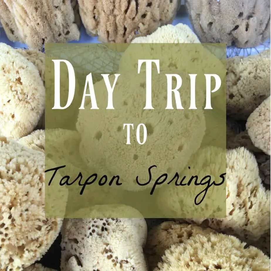 visit Tarpon Springs