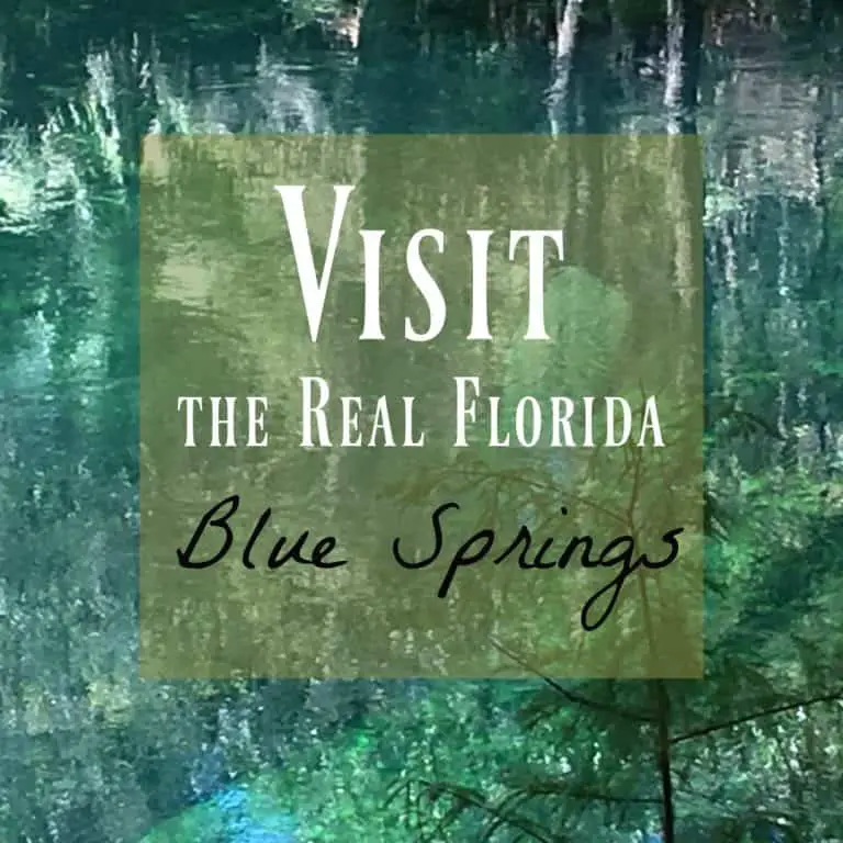 Blue Springs ~ The Beautiful & Real Florida You Need to See