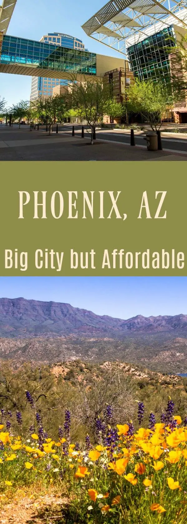 Phoenix, AZ hometown Tourist project