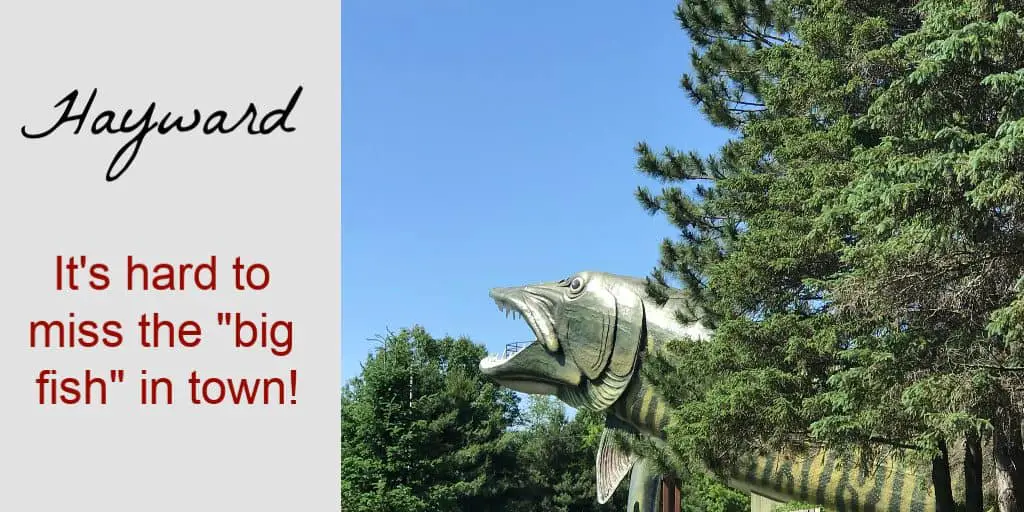 the big fish - the best of Hayward, WI