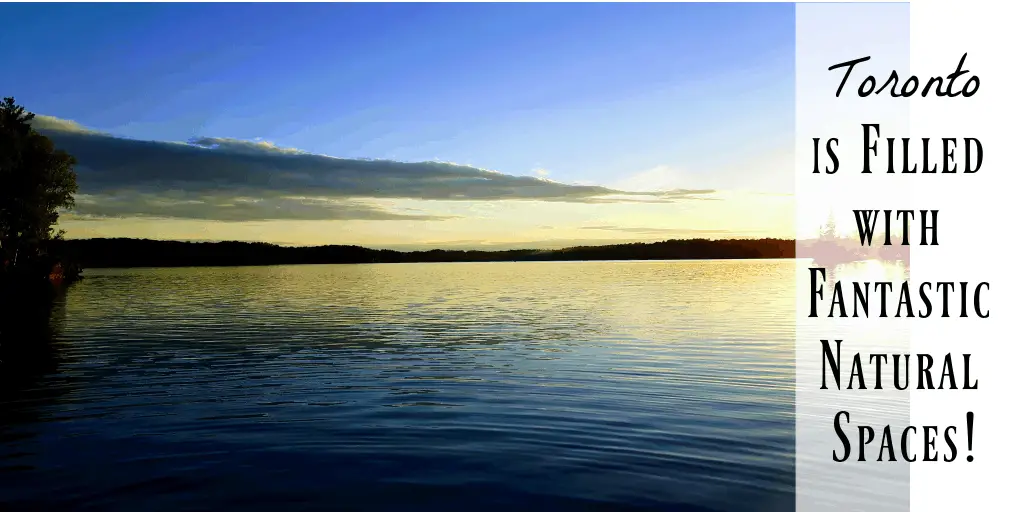 natural spaces are some of the unique things to do in Toronto