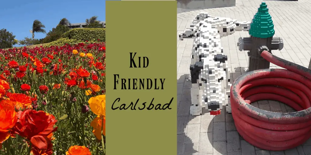 kid friendly Carlsbad