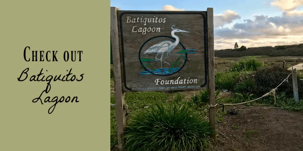 Batiquitos Lagoon - things to do in Carlsbad
