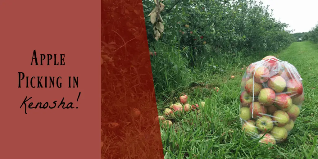 apple picking things to do in Kenosha, WI