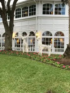 deer made of white lights out on the lawn at the Grand Floridian