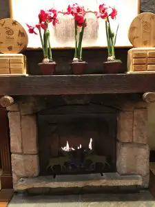 another fireplace we found at the Wilderness Lodge