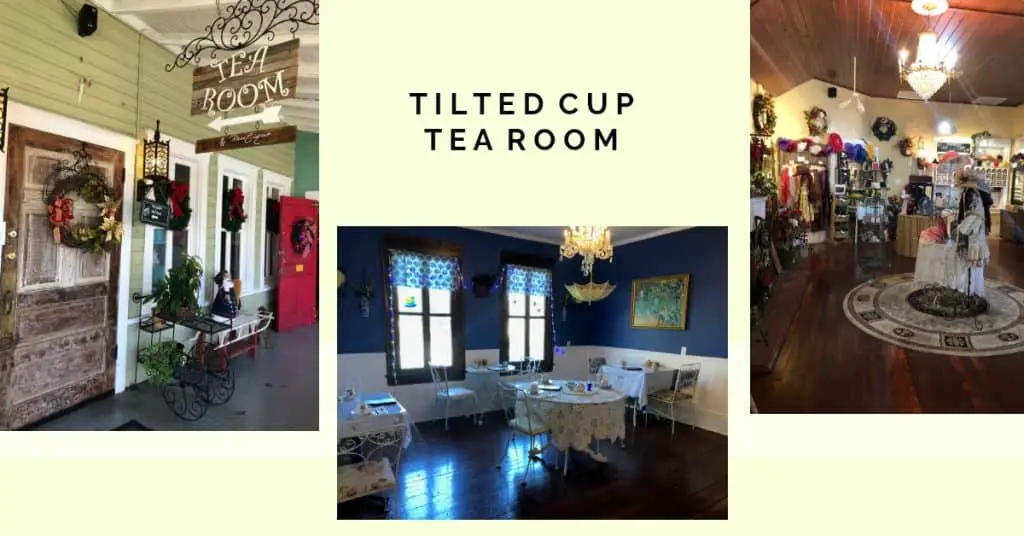 images from the Tilted Teacup, a favorite thing to do in Brooksville, FL