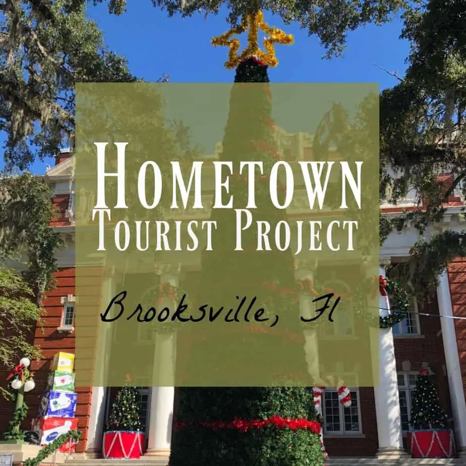 travel agency brooksville florida