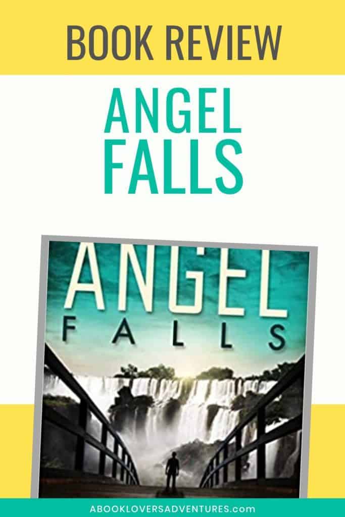 book review of Angel Falls by Connie Mann