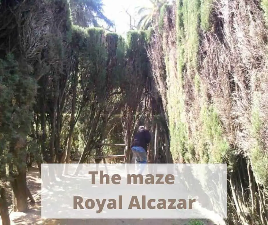 The maze in the gardens of the Royal Alcazar palace in Seville