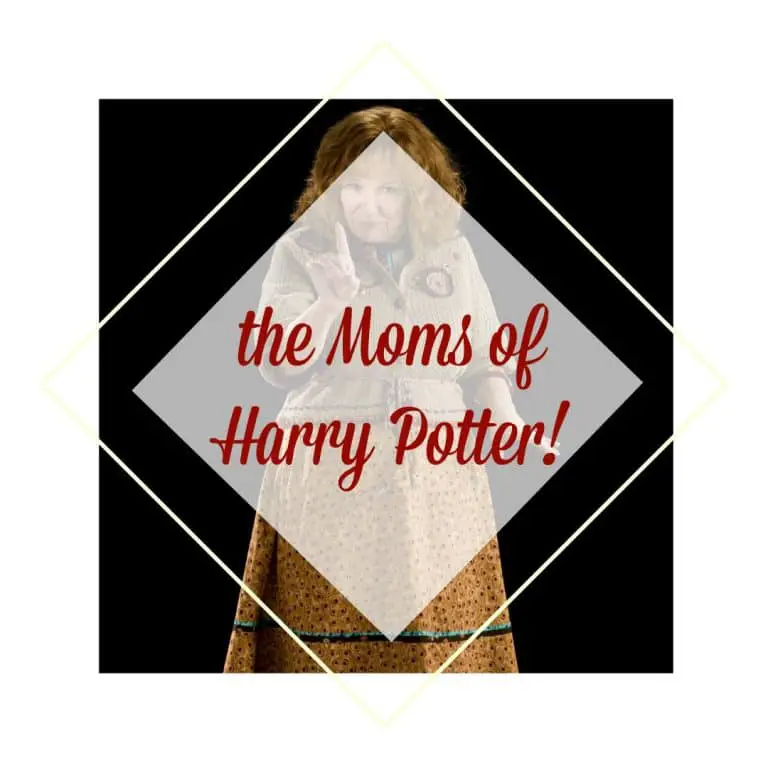 9 Harry Potter Moms ~ The best, the worst, and more!
