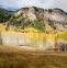 beautiful mountain surrounded by yellow plants